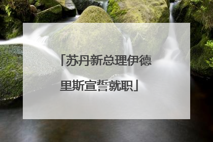 苏丹新总理伊德里斯宣誓就职