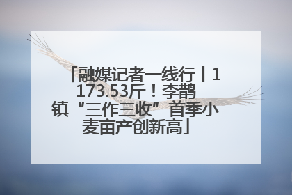 融媒记者一线行丨1173.53斤！李鹊镇“三作三收”首季小麦亩产创新高
