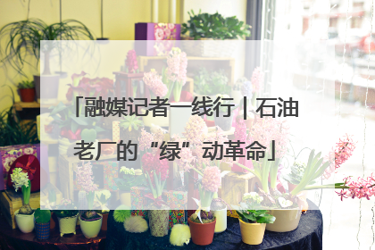 融媒记者一线行｜石油老厂的“绿”动革命
