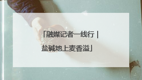 融媒记者一线行｜盐碱地上麦香溢