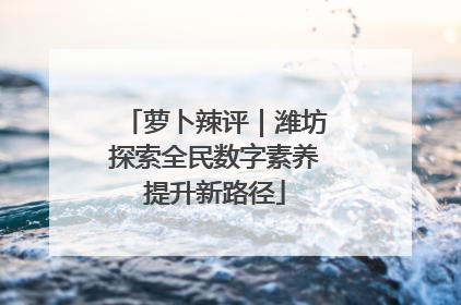 萝卜辣评｜潍坊探索全民数字素养提升新路径