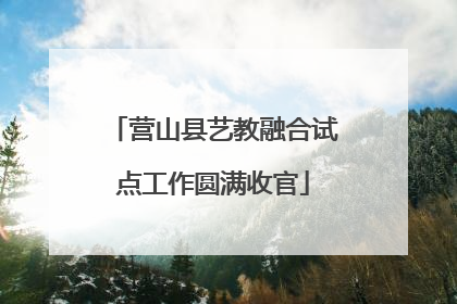 营山县艺教融合试点工作圆满收官