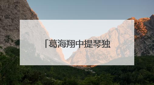 葛海翔中提琴独奏音乐会在苏州第六中学精彩举行