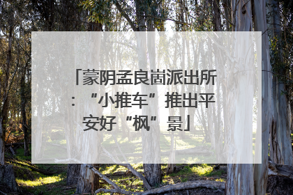 蒙阴孟良崮派出所：“小推车”推出平安好“枫”景