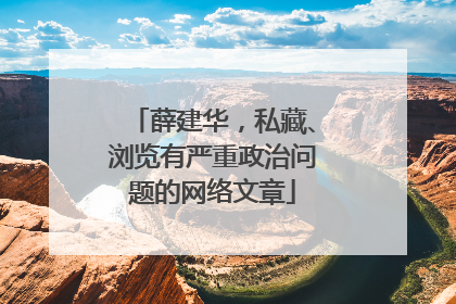 薛建华，私藏、浏览有严重政治问题的网络文章