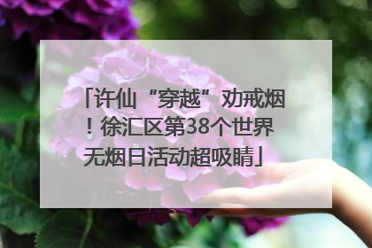 许仙“穿越”劝戒烟！徐汇区第38个世界无烟日活动超吸睛