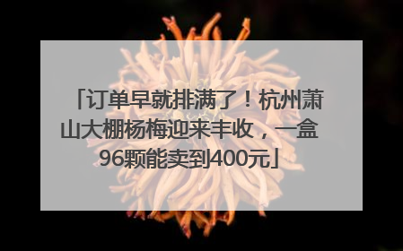 订单早就排满了！杭州萧山大棚杨梅迎来丰收，一盒96颗能卖到400元