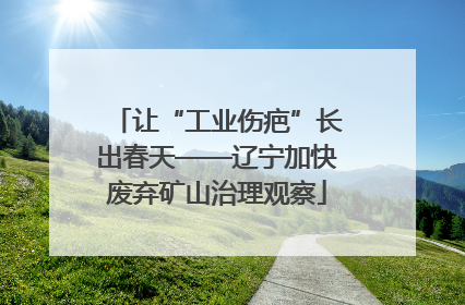 让“工业伤疤”长出春天——辽宁加快废弃矿山治理观察
