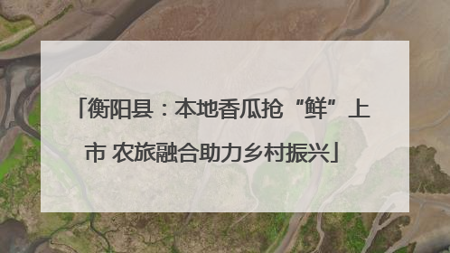 衡阳县：本地香瓜抢“鲜”上市 农旅融合助力乡村振兴