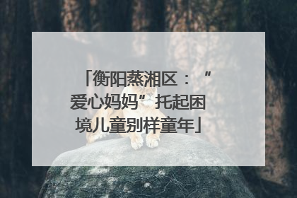 衡阳蒸湘区：“爱心妈妈”托起困境儿童别样童年