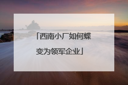 西南小厂如何蝶变为领军企业