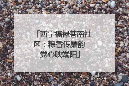西宁福禄巷南社区：粽香传廉韵 党心映端阳