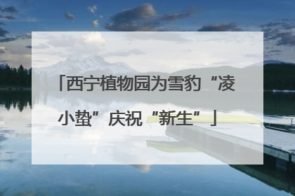 西宁植物园为雪豹“凌小蛰”庆祝“新生”