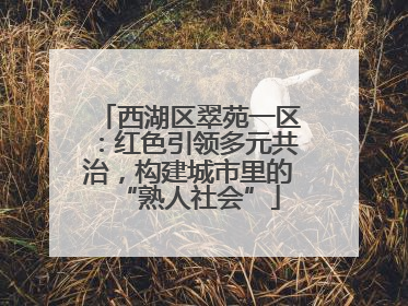 西湖区翠苑一区：红色引领多元共治，构建城市里的“熟人社会”