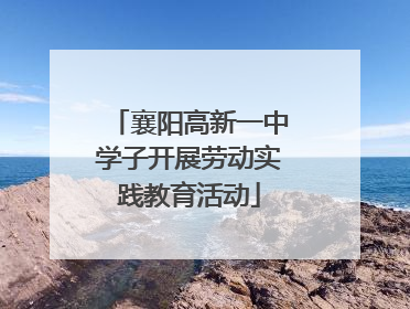 襄阳高新一中学子开展劳动实践教育活动