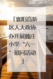 襄阳高新区人大政协办开展魏庄小学“六一”慰问活动