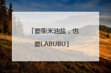要柴米油盐，也要LABUBU