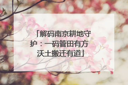 解码南京耕地守护：一码管田有方 沃土搬迁有道