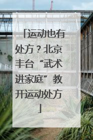 运动也有处方？北京丰台“武术进家庭”教开运动处方