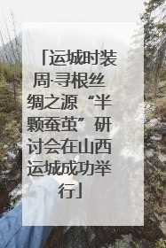 运城时装周·寻根丝绸之源“半颗蚕茧”研讨会在山西运城成功举行
