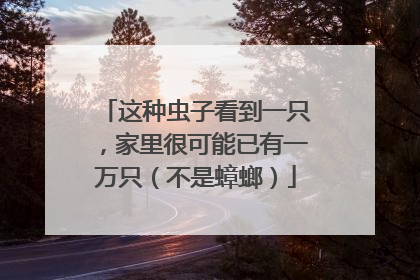 这种虫子看到一只，家里很可能已有一万只（不是蟑螂）