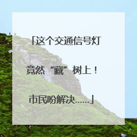 这个交通信号灯竟然“藏”树上！市民盼解决……