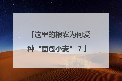 这里的粮农为何爱种“面包小麦”？