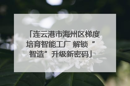 连云港市海州区梯度培育智能工厂 解锁“智造”升级新密码