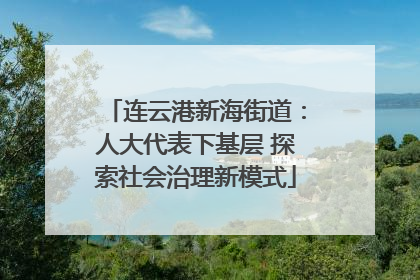 连云港新海街道：人大代表下基层 探索社会治理新模式