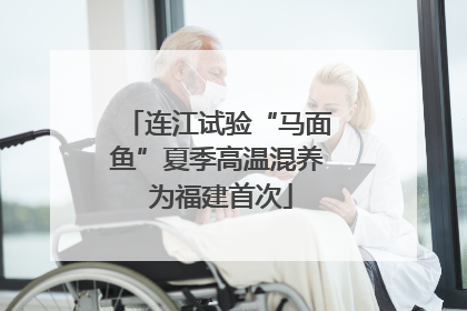 连江试验“马面鱼”夏季高温混养 为福建首次