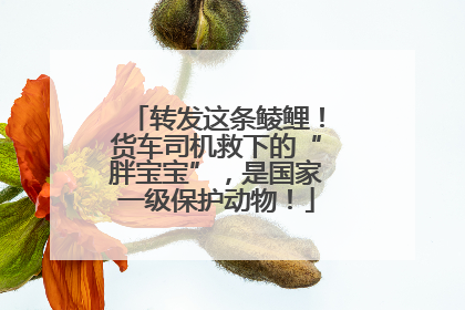 转发这条鲮鲤！货车司机救下的“胖宝宝”，是国家一级保护动物！