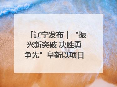 辽宁发布｜“振兴新突破 决胜勇争先”阜新以项目攻坚破解发展瓶颈 经济发展实现良好开局