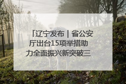 辽宁发布｜省公安厅出台15项举措助力全面振兴新突破三年行动决胜之战
