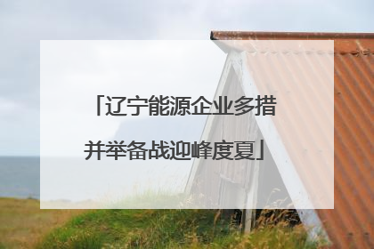 辽宁能源企业多措并举备战迎峰度夏