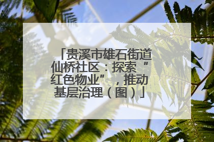 贵溪市雄石街道仙桥社区：探索“红色物业”，推动基层治理（图）