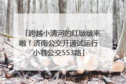 跨越小清河的红墩墩来啦！济南公交开通试运行小巷公交553路