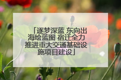 逐梦深蓝 东向出海绘蓝图 宿迁全力推进重大交通基础设施项目建设