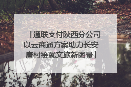 通联支付陕西分公司以云商通方案助力长安唐村绘就文旅新图景