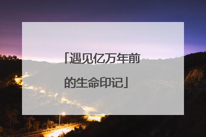 遇见亿万年前的生命印记
