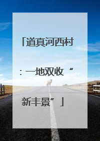 道真河西村：一地双收“新丰景”