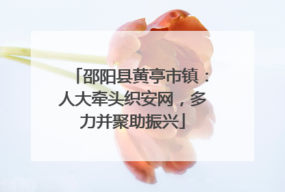 邵阳县黄亭市镇：人大牵头织安网，多力并聚助振兴