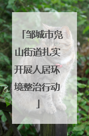 邹城市凫山街道扎实开展人居环境整治行动