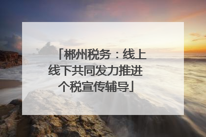郴州税务：线上线下共同发力推进个税宣传辅导