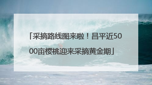 采摘路线图来啦！昌平近5000亩樱桃迎来采摘黄金期