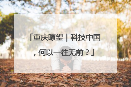 重庆瞭望｜科技中国，何以一往无前？