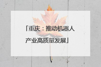 重庆：推动机器人产业高质量发展