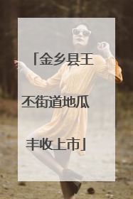 金乡县王丕街道地瓜丰收上市