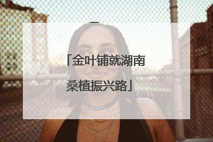金叶铺就湖南桑植振兴路