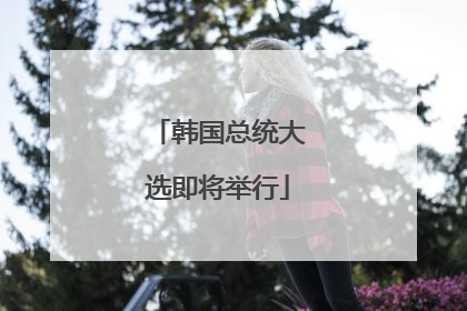 韩国总统大选即将举行