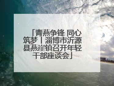 青燕争锋 同心筑梦丨淄博市沂源县燕崖镇召开年轻干部座谈会